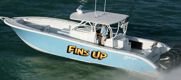 finsup2